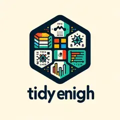 tidyenigh website